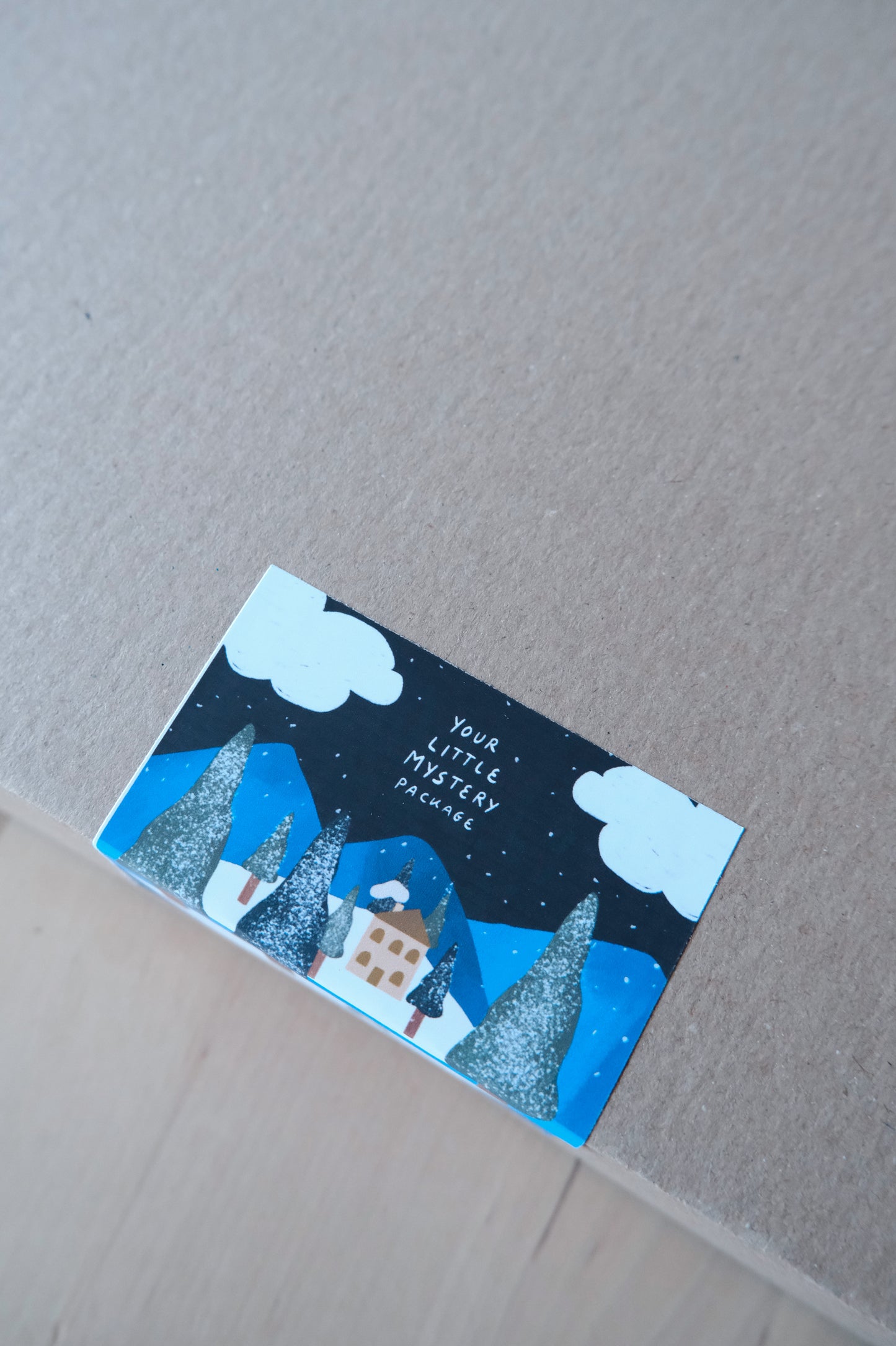 Your little Mystery Package / (Holiday Edition)