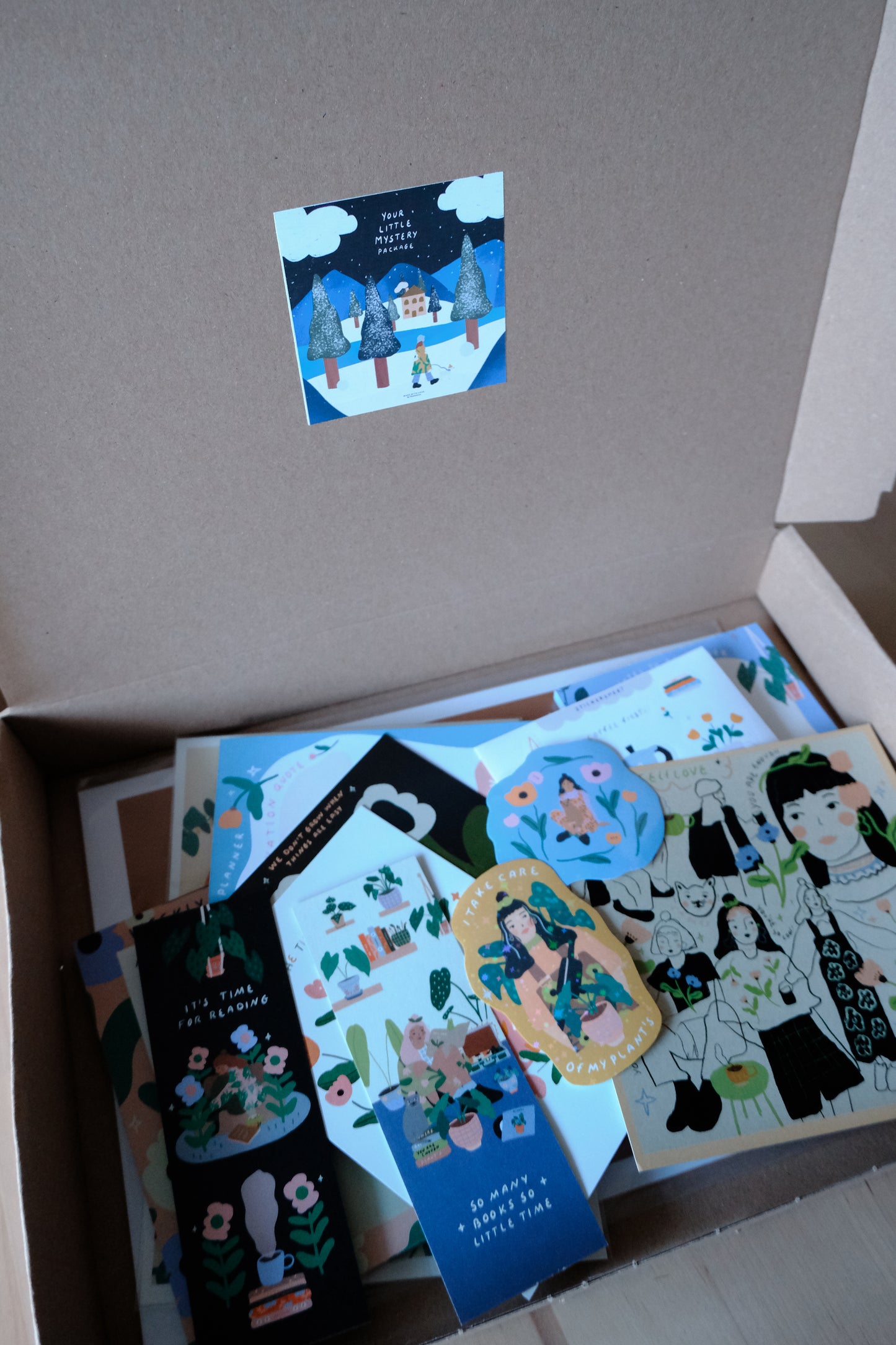 Your little Mystery Package / (Holiday Edition)