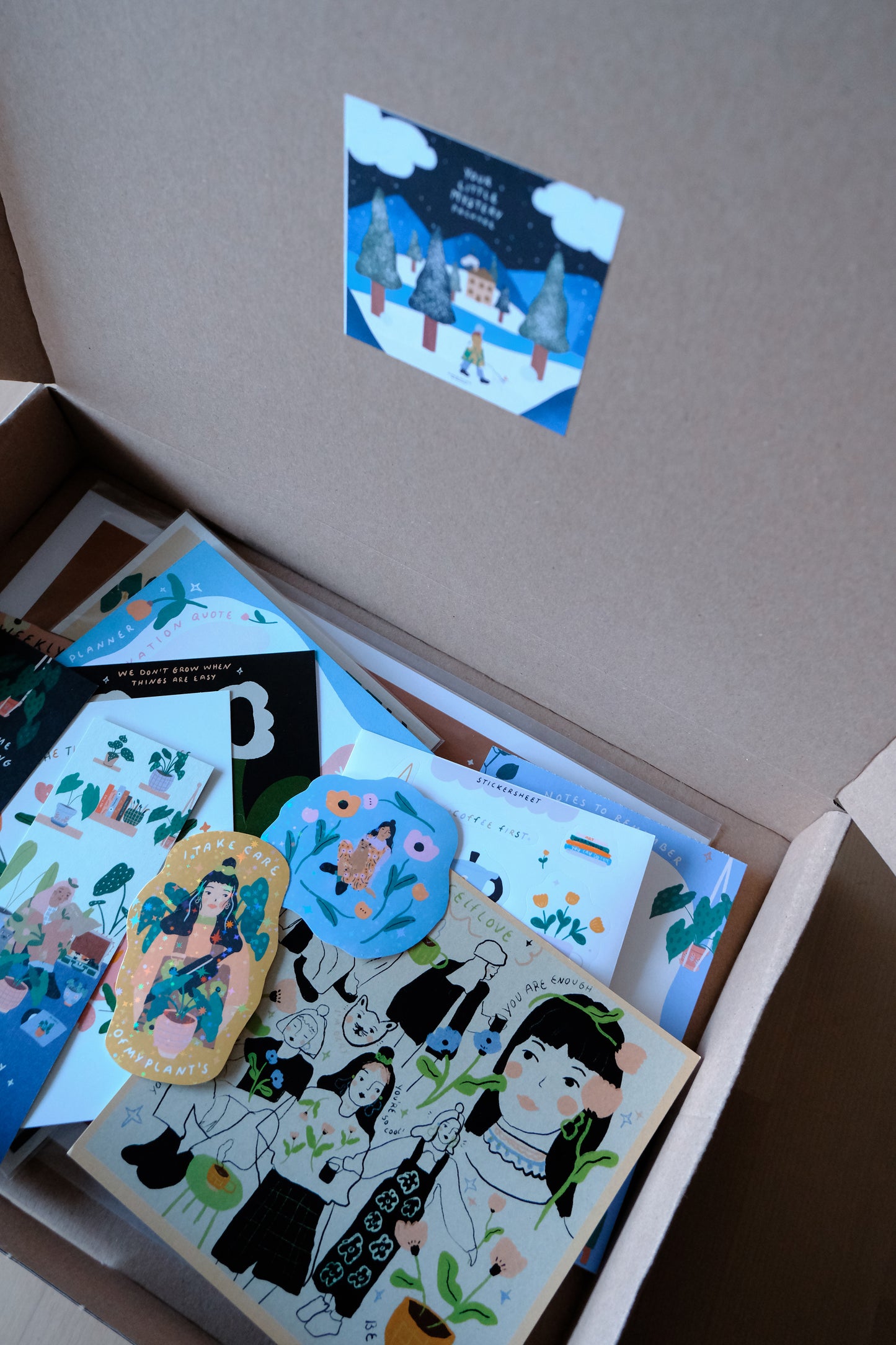 Your little Mystery Package / (Holiday Edition)