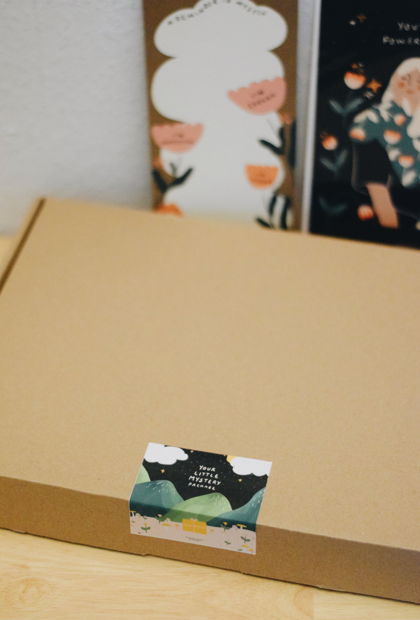 Mystery Package / Suprise Suprise