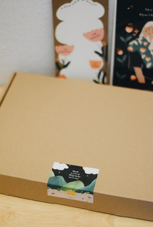 Mystery Package / Suprise Suprise