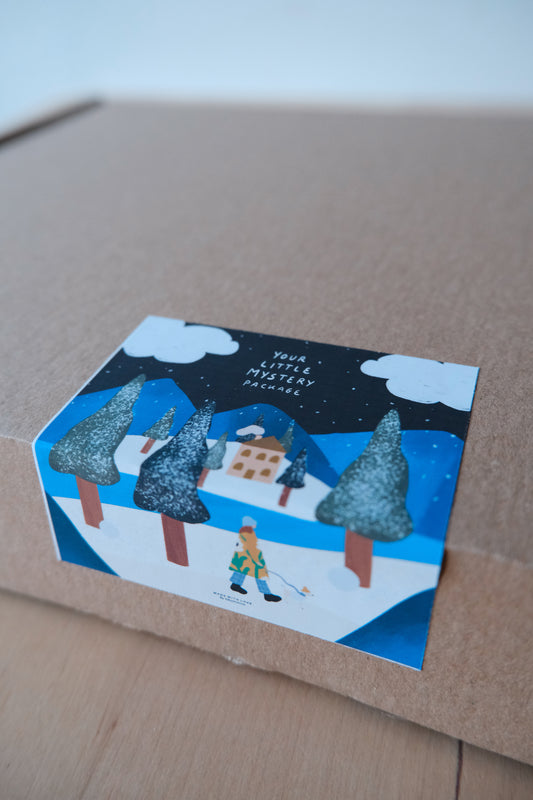 Your little Mystery Package / (Holiday Edition)