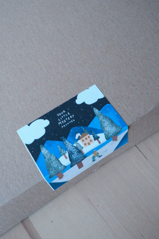 Your little Mystery Package / (Holiday Edition)
